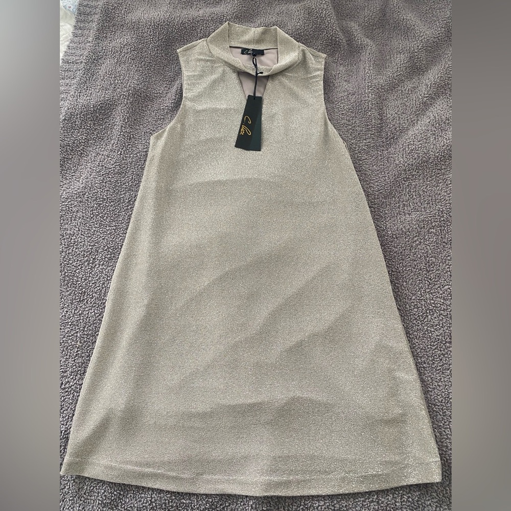 C. Luce silver stretchy, lined, sleeveless dress, mock turtleneck, Tags on, M.